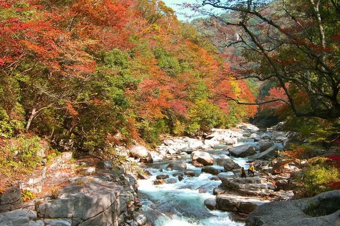 ★단 1회 한정★[KE/품격][ALL포함]【가을단풍산책 '오쿠츠 계곡'】오카야마ㆍ구라시키ㆍ돗토리 4일▶특급온천료칸 2박♨