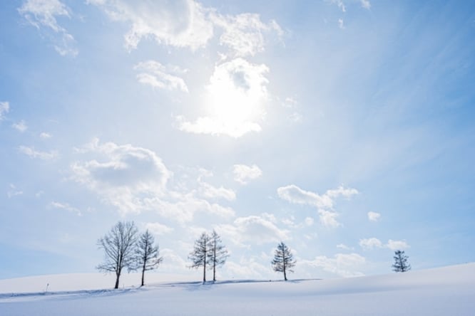 부산[TW]【정통】【설(雪)경, 겨울을 걷다】▶겨울 북해도ㆍ비에이 4일▶오타루 숙박+소운쿄 온천♨+대게무제한
