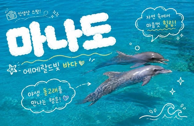 마나도 5일 준특급vs특급 #NO쇼핑 #호핑투어#토모혼투어#시내관광#마사지60분