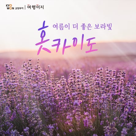 북해도4일#부산출#온천1박+시내2박♥#비에이#후라노#오타루#도야#노보리베츠