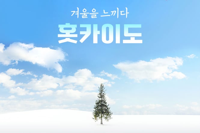 북해도4일#부산출#온천2박#6명이상출발#오타루#노보리베츠#도야#삿포로#모에레누마공원