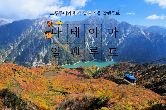 [초록을 걷고, 붉음을 만나다] 후지산/다테야마 알펜루트 동시 정복 4일(온천2박♨️)