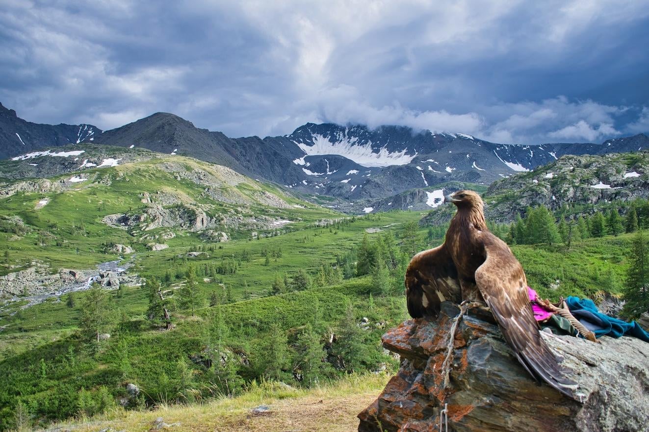 워드프레스_22_4_몽골