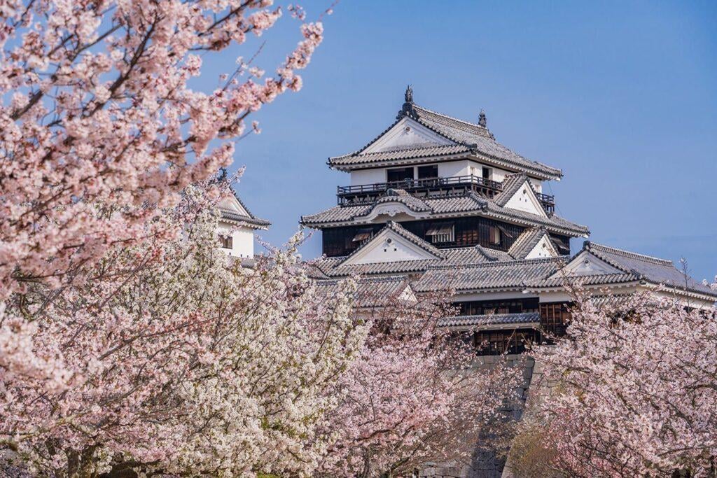 일본_image-35-1024x683