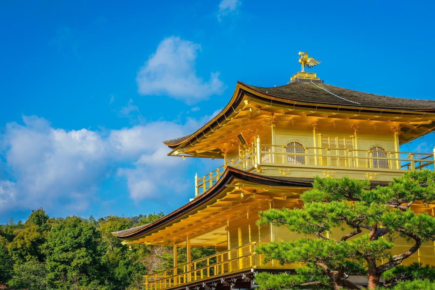 맑은 날씨 속에서 화려한 금박으로 덮인 일본 교토 금각사의 상층부와 지붕 위 황금 봉황 장식이 돋보이는 풍경입니다.