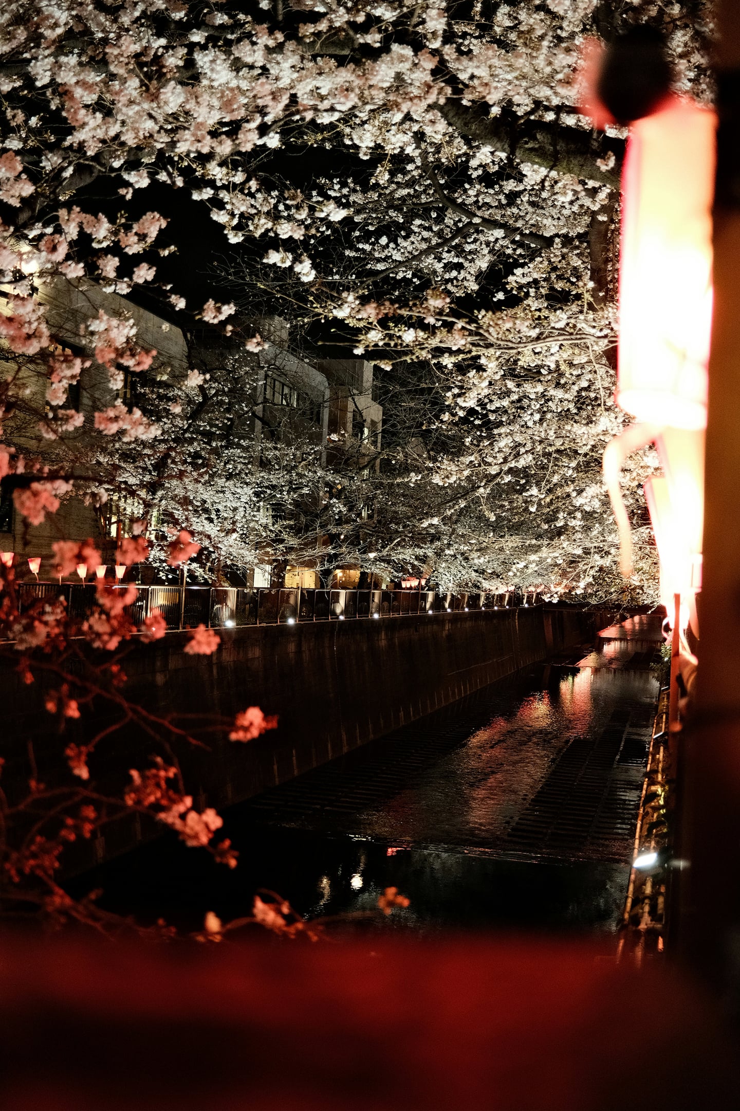 스팟체험_도쿄_나카메구로 (메구로강)_unsplash_s0toT6Wf4hM