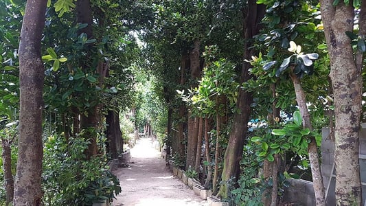 2월 오키나와 날씨 완벽 대비, 부모님 동반 3박 4일 100만원 완성 가이드