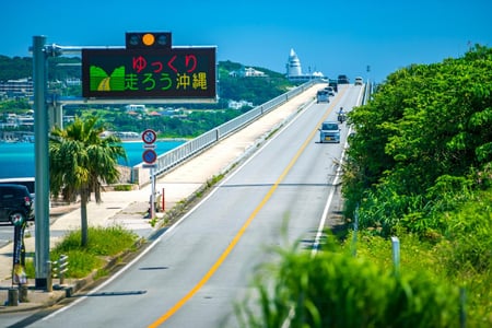 오키나와 교통 총정리! 렌트카 vs 뚜벅이 여행