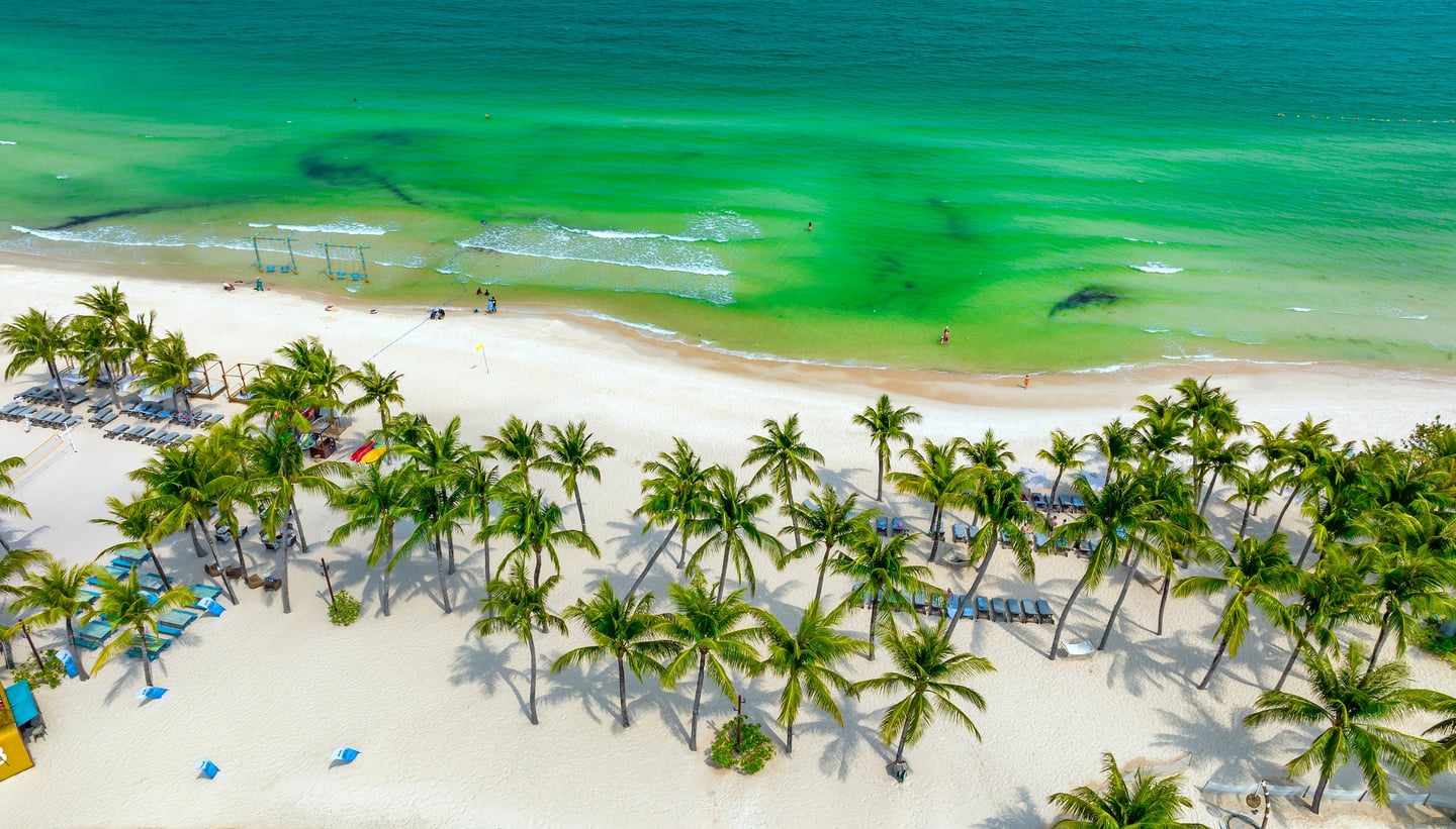 투명한 에메랄드빛 바다와 하얀 백사장을 따라 늘어선 야자수들이 이국적인 분위기를 자아내는 해변의 항공 촬영 모습입니다.