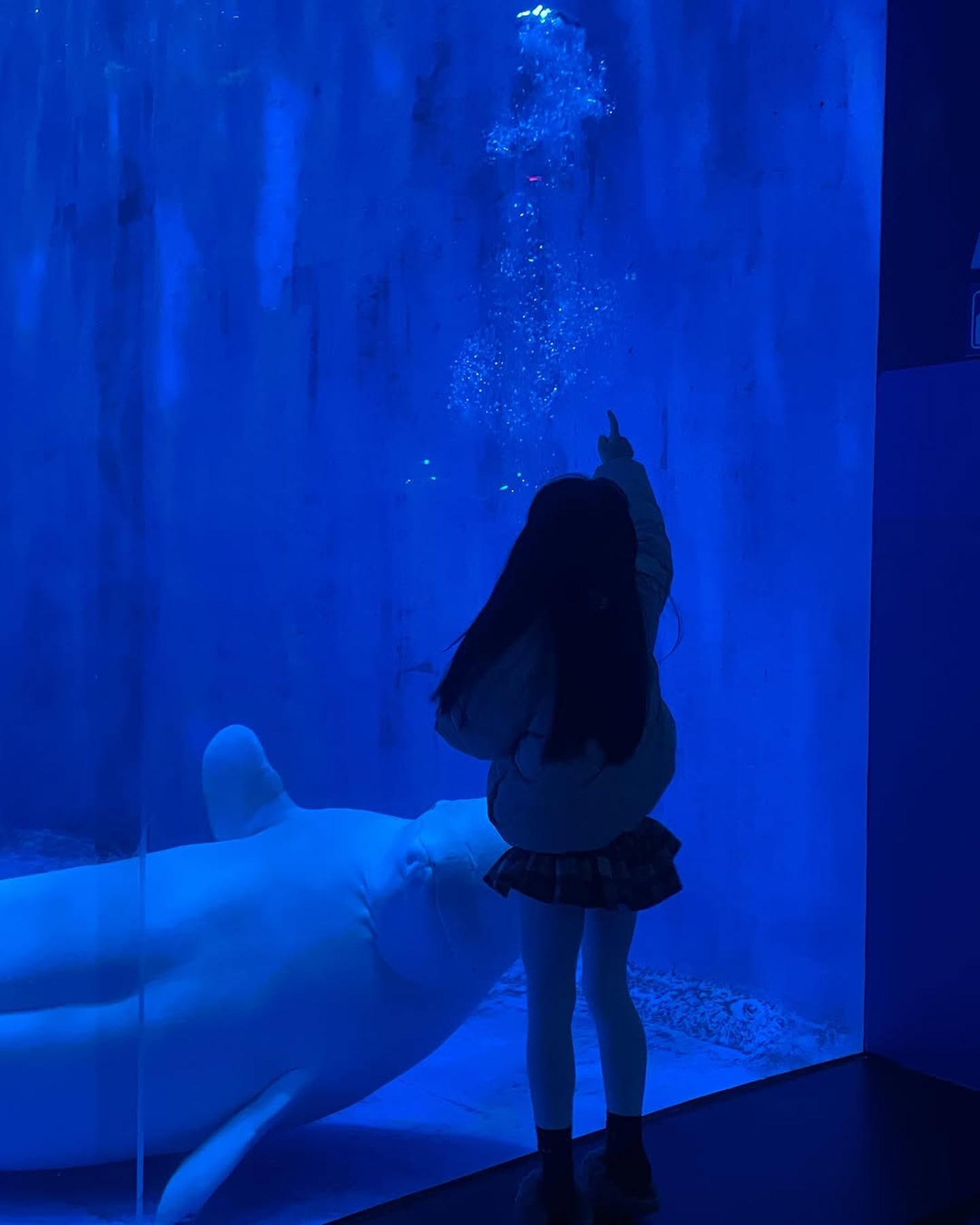 파란 빛이 감도는 아쿠아리움 수조 안의 거대한 벨루가를 신기한 듯 바라보며 손가락으로 가리키고 있는 어린 아이의 뒷모습입니다.