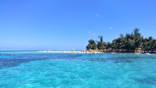 투명한 바다와 하얀 백사장, 울창한 야자수 숲이 어우러진 해변에서 사람들이 노란 파라솔 아래 휴양을 즐기는 모습입니다.