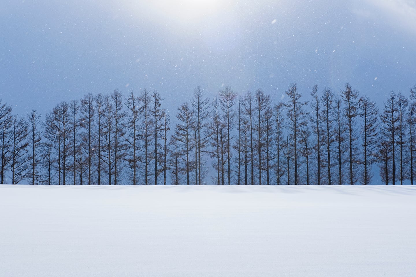 비에이_패치워크로드_03_shutterstock_2241865195