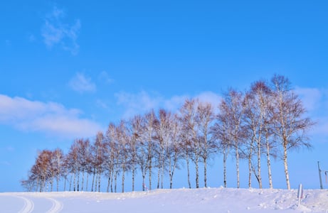 겨울 삿포로 여행 완벽 가이드: 눈축제 명소부터 실전 팁 총정리