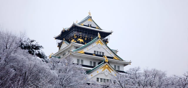 오사카 4박 5일 일정, 교토와 유니버설까지 꽉 채운 황금 루트