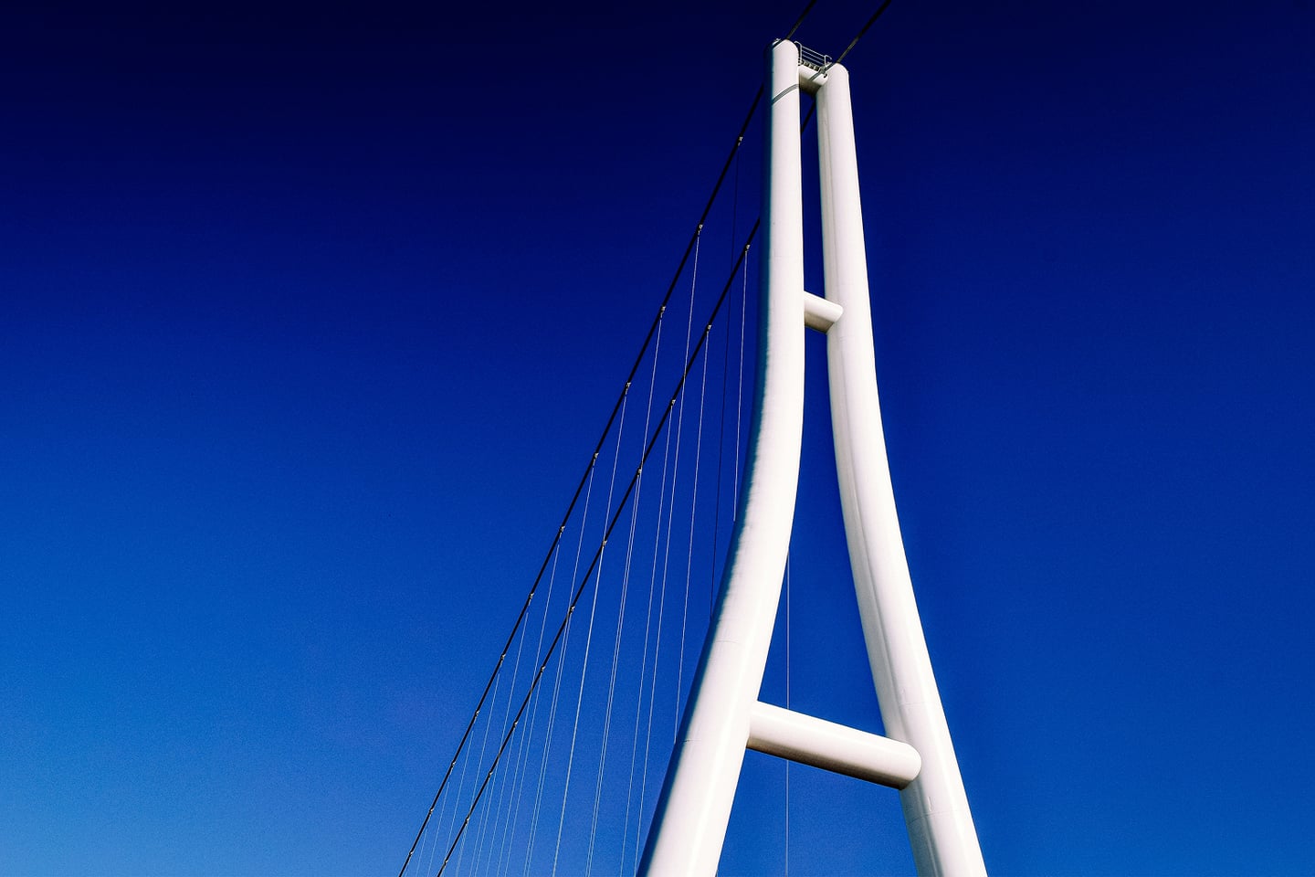 스팟체험_시즈오카_미시마 스카이워크_unsplash_-QEHbQrQdTQ