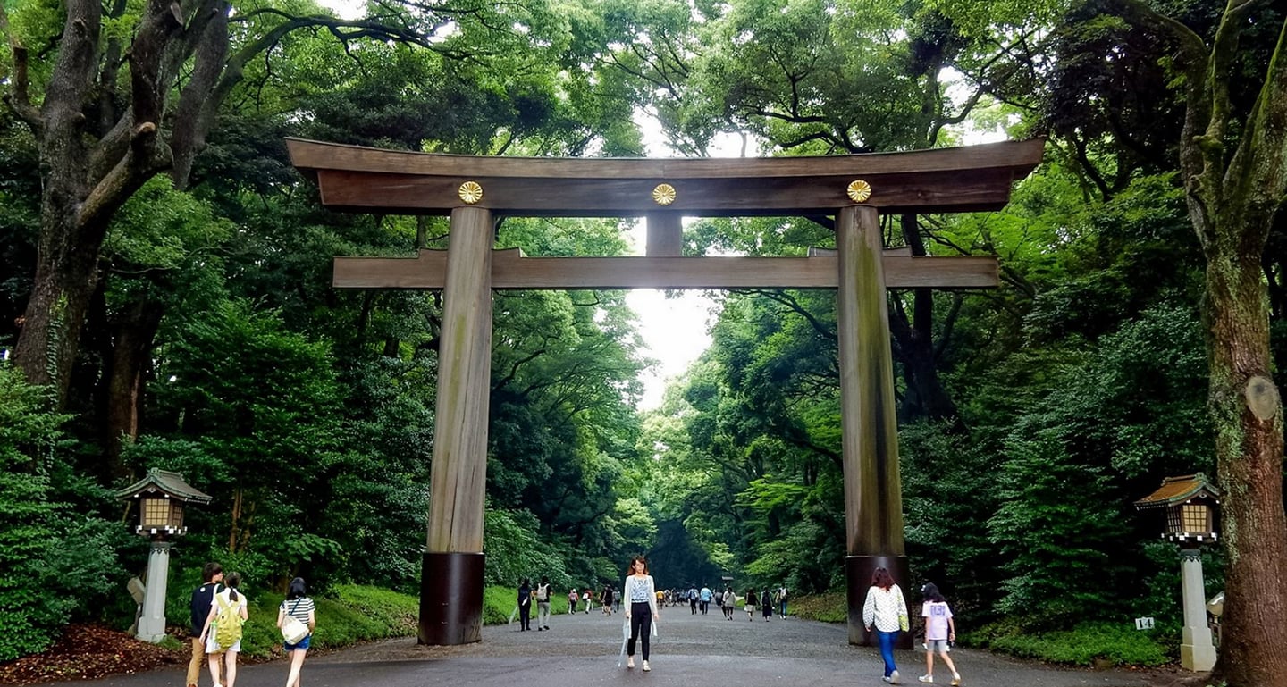 일본 신사의 입구를 상징하는 거대한 나무 도리이와 그 아래 산책로를 따라 걷는 관광객들의 평화로운 모습입니다.