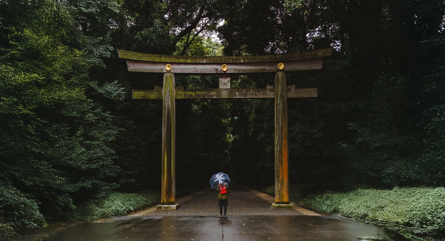 비 내리는 날 울창한 나무들 사이로 우뚝 솟은 일본 전통 목조 도리이 아래에서 투명 우산을 쓴 여행객이 정면을 응시하며 서 있는 풍경입니다.