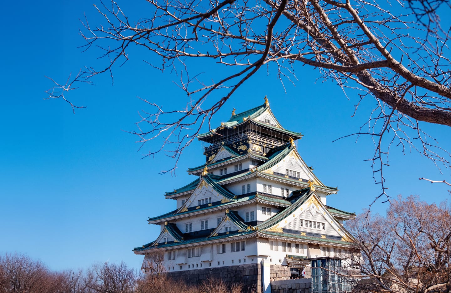 푸른 하늘을 배경으로 금색 장식과 흰 벽이 조화를 이루는 일본 오사카 성 천수각의 전경을 앙상한 나뭇가지 사이로 포착한 풍경입니다.