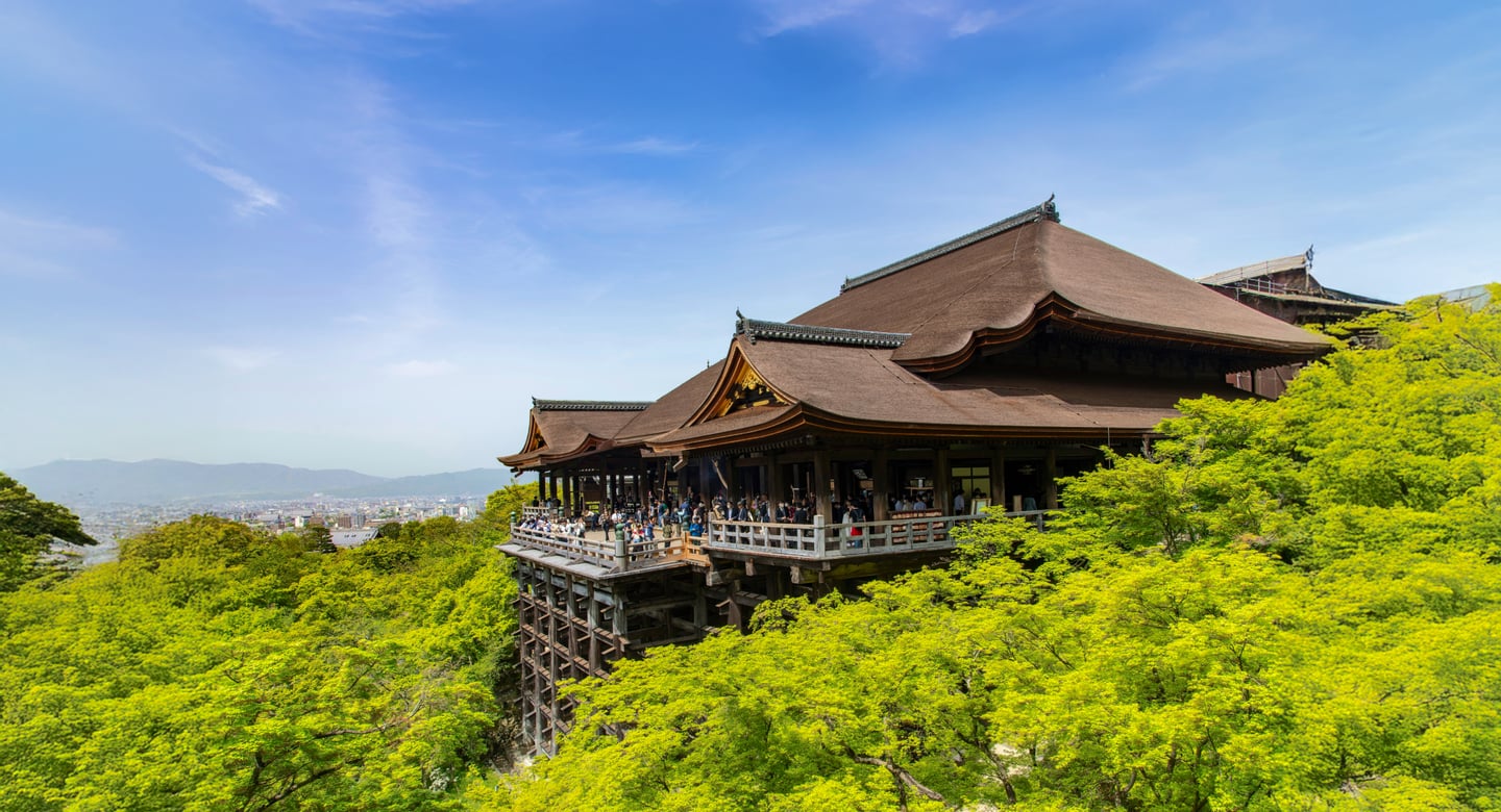 울창한 초록빛 나무들 사이로 솟아오른 교토 청수사의 거대한 목조 본당과 탁 트인 전망을 즐기는 사람들의 풍경입니다.