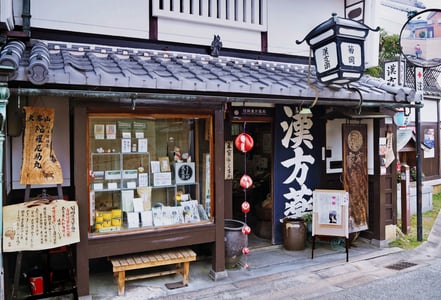 오사카 근교 여행, 나라마치 당일치기 코스 총정리