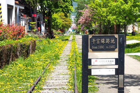 노란 꽃들이 만개한 철길 산책로를 따라 과거 테미야선의 역사를 기록한 검은색 안내 표지판이 세워져 있는 오타루의 봄날 풍경입니다.