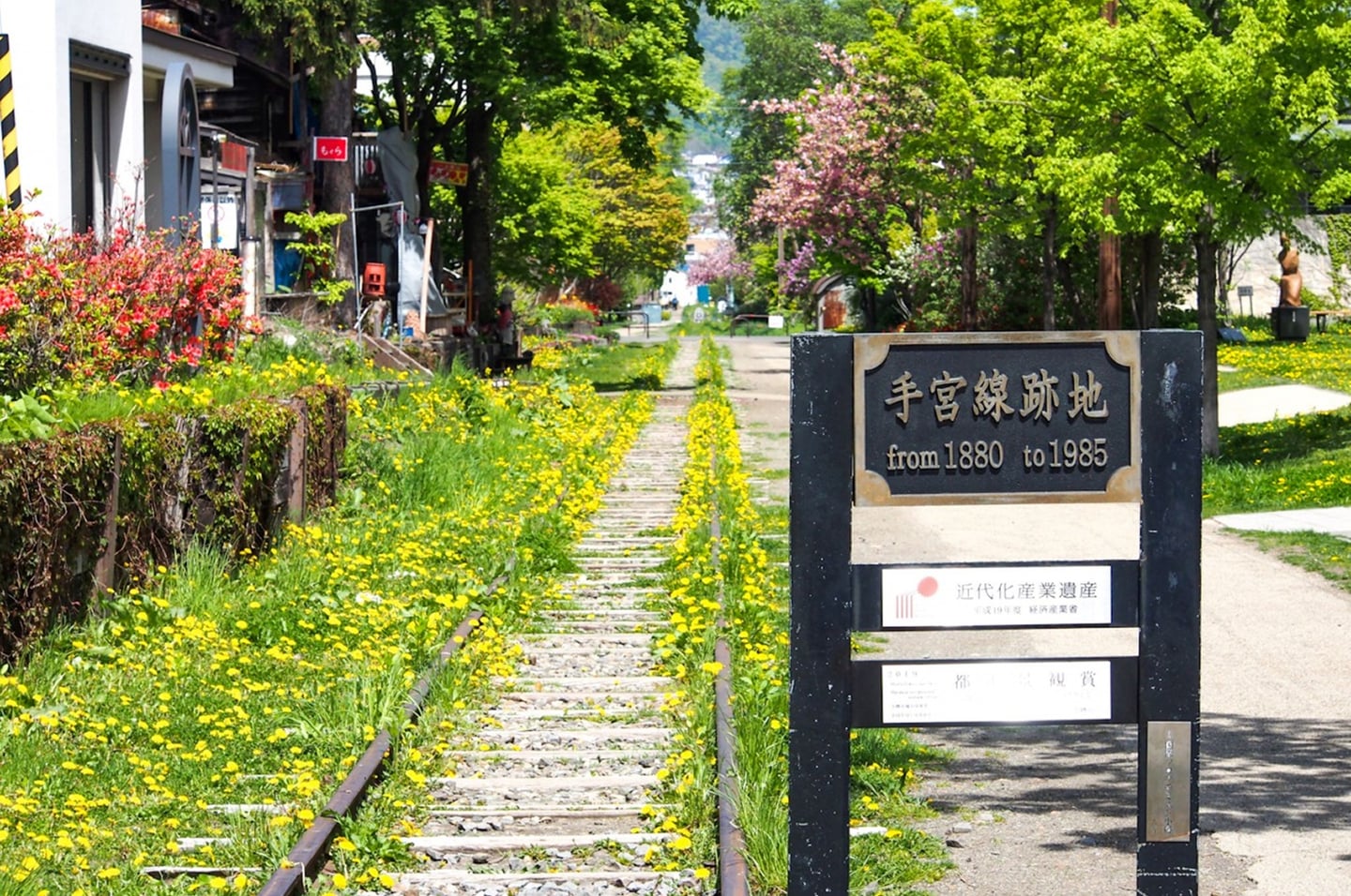 노란 꽃들이 만개한 철길 산책로를 따라 과거 테미야선의 역사를 기록한 검은색 안내 표지판이 세워져 있는 오타루의 봄날 풍경입니다.