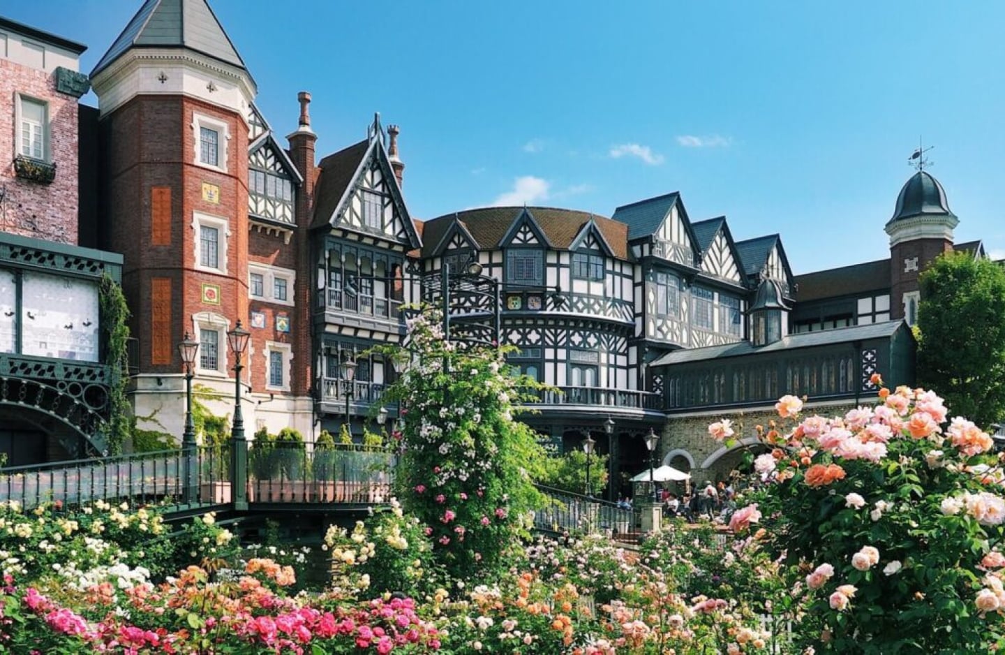 이국적인 튜더 양식 건축물을 배경으로 분홍색과 노란색 장미가 만개한 아름다운 정원의 풍경이 맑은 하늘과 조화를 이룹니다.