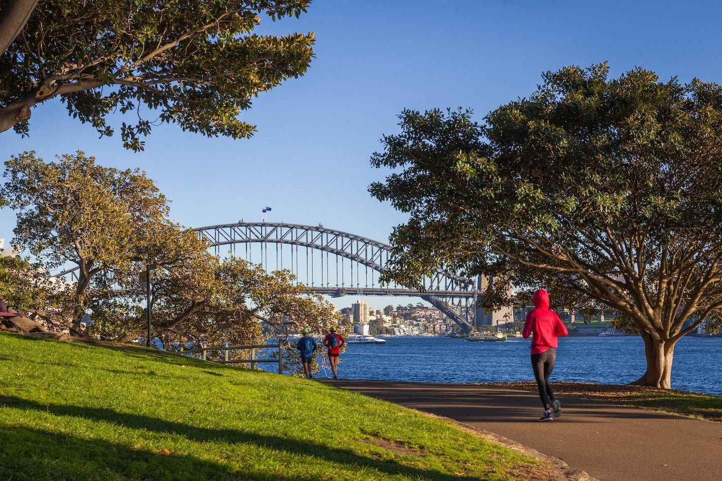 시드니 하버 브릿지를 배경으로 울창한 나무 사이 산책로에서 붉은색 상의를 입은 사람이 조깅을 하는 평화로운 공원의 모습입니다.