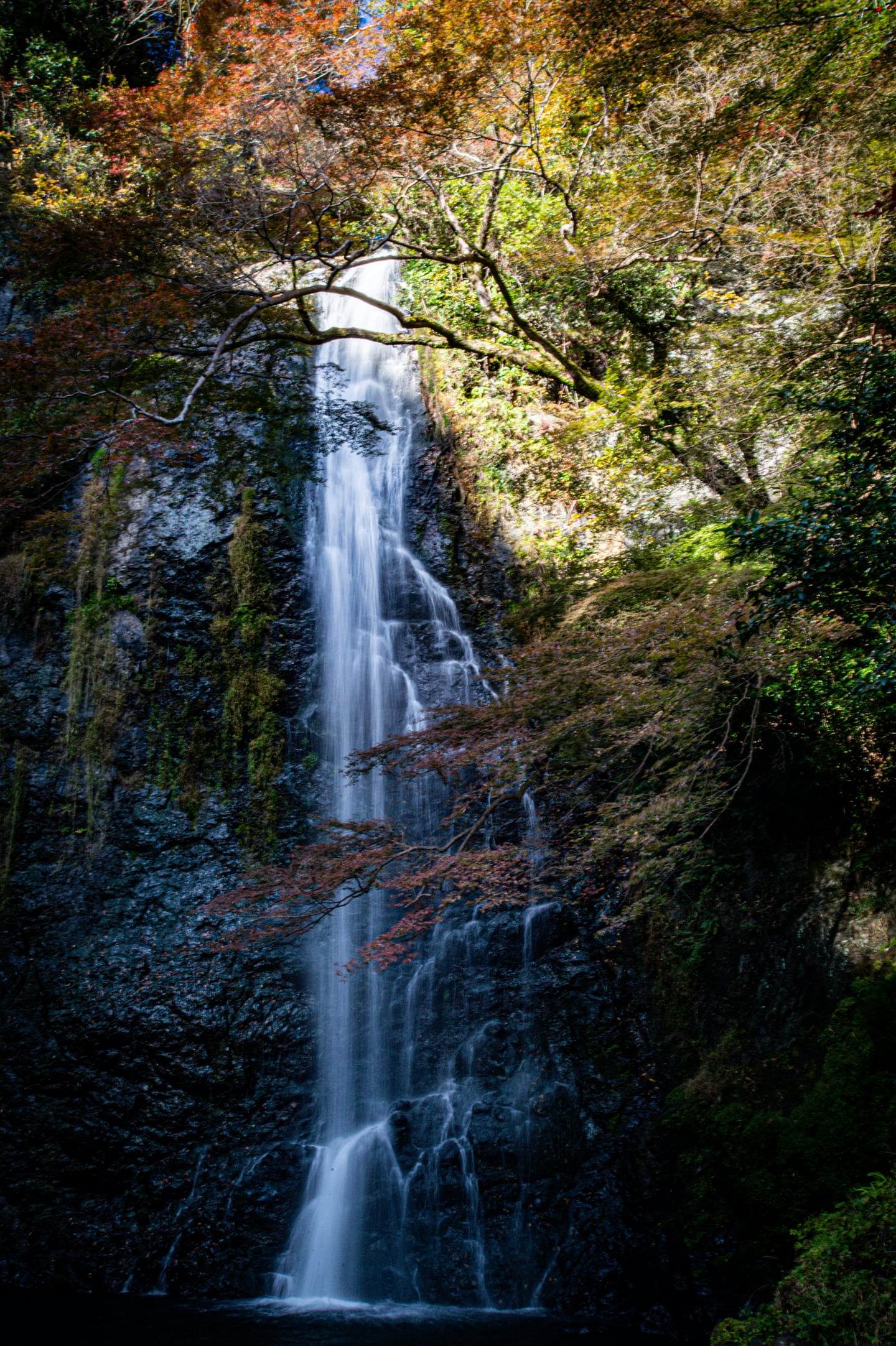 스팟체험_시즈오카_시라이토 폭포 (산책로)_unsplash_mcAXfdedVgo