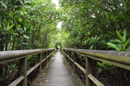 오키나와 뚜벅이 여행 즐기는 3박 4일 알짜배기 공략