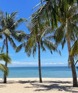 다낭 스노클링 명소 BEST 3 & 참섬 투어 꿀팁