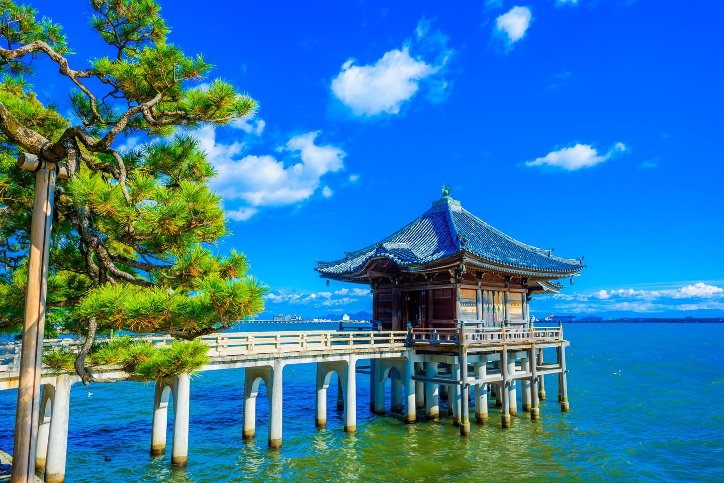 스팟체험_나라 우키미도_shutterstock_771272323