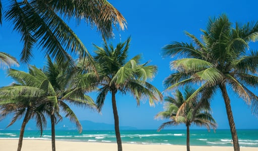 다낭 기온 월별 건기 우기 옷차림 완벽 정리