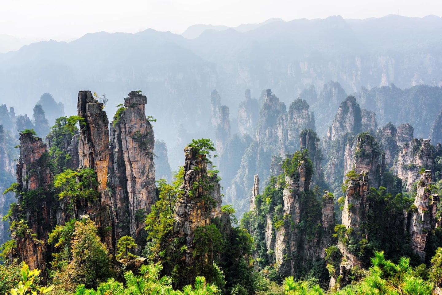 스팟체험_중국_장가계_천자산 서해봉림_shutterstock_421118275
