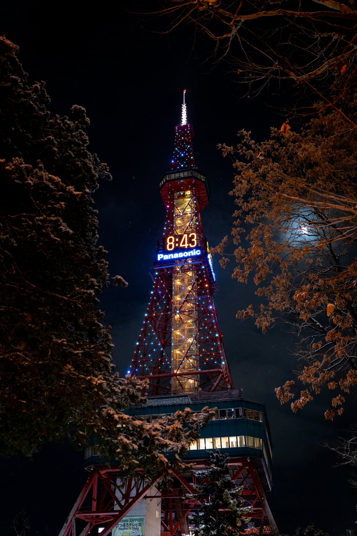 눈 덮인 나무들 사이로 보이는 삿포로 TV 타워가 화려한 전구 조명과 디지털 시계로 밤하늘을 밝히는 야경 모습입니다.