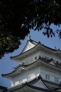 도쿄 오다이바 관광 총정리: 야경부터 쇼핑까지 완벽 가이드