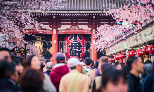 도쿄 혼자 여행 코스 총정리 | 명소부터 맛집까지 실전 팁