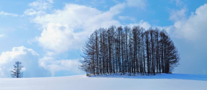 훗카이도 겨울 여행 코스 추천 및 필수 준비물 완벽 총정리