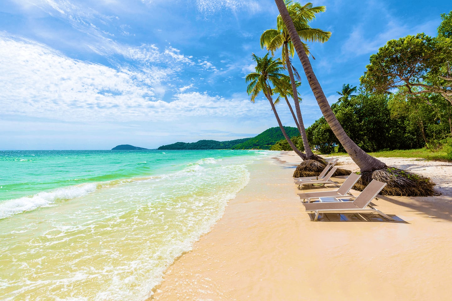푸른 바다와 하얀 백사장이 어우러진 해변가 야자수 그늘 아래 나란히 놓인 선베드들이 여유로운 휴양지 분위기를 자아냅니다.