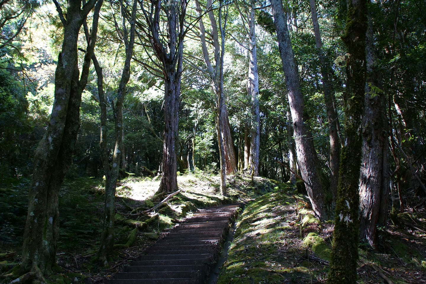 스팟체험_시즈오카_코무로야마 릿지워크 MISORA_unsplash__oCTs5tdklI 1