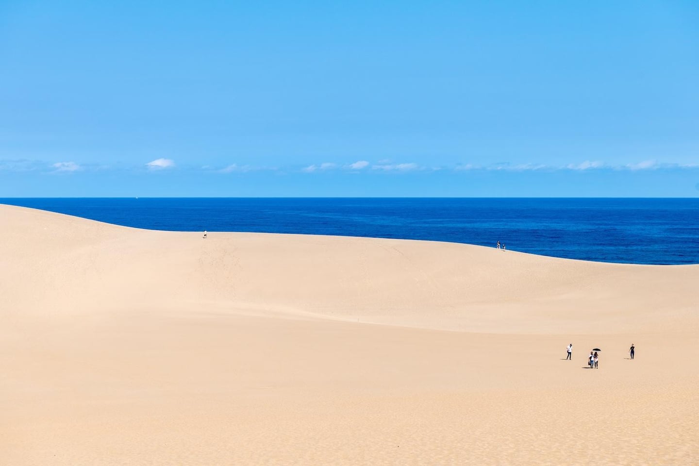쾌청한 하늘 아래 짙푸른 바다와 대비를 이루는 황금빛 돗토리 사구의 웅장한 전경과 그 위를 거니는 사람들의 모습입니다.