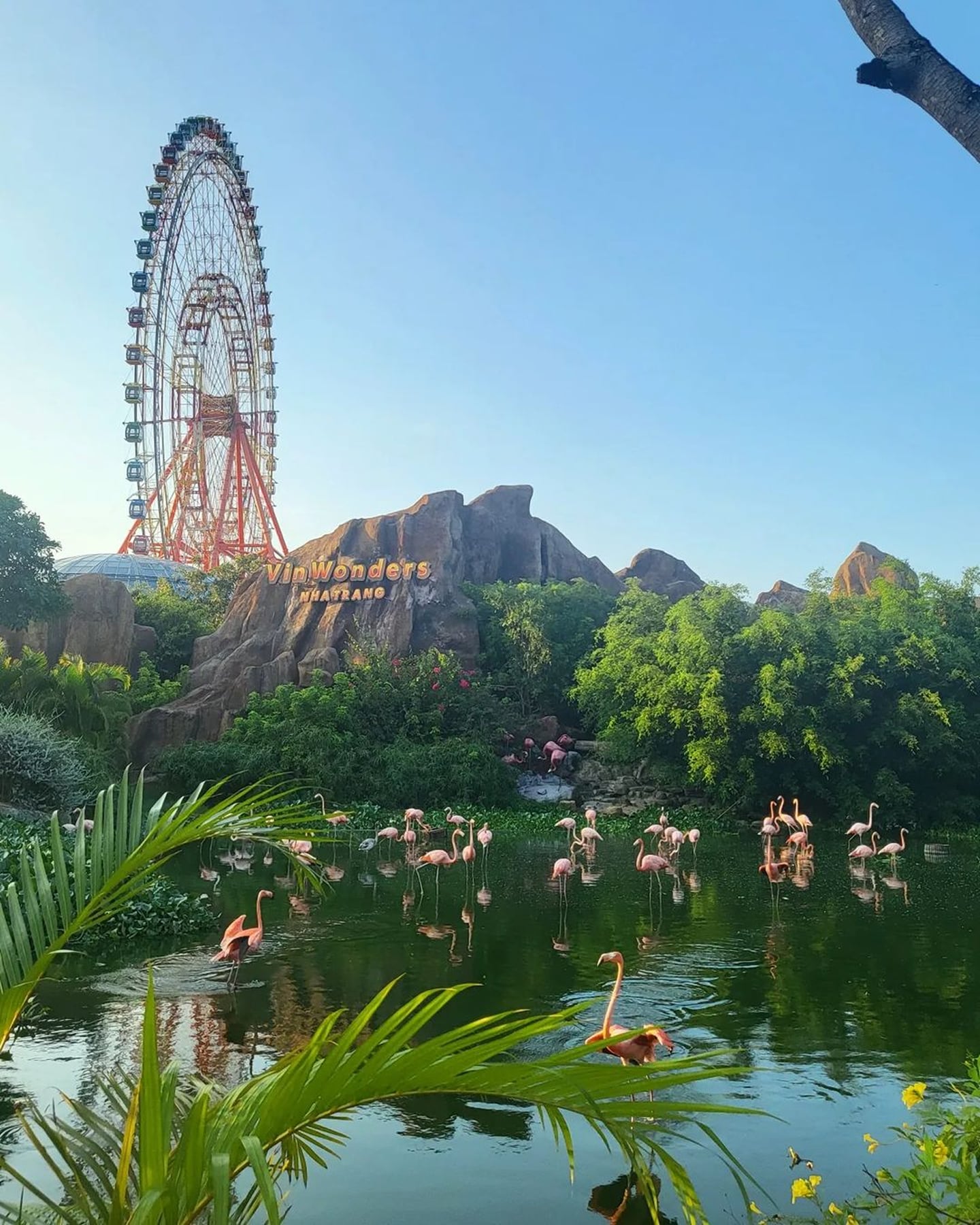 나트랑 빈원더스 테마파크의 거대한 대관람차와 바위산 아래 연못에서 무리 지어 휴식을 취하는 분홍빛 홍학들의 이국적인 풍경입니다.