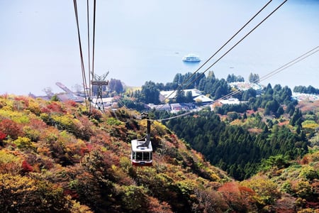 하코네 로프웨이, 고라 상공 숲길