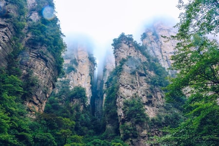 구름과 안개가 자욱하게 내려앉은 웅장한 바위 절벽과 울창한 숲이 어우러진 중국 장가계의 신비로운 자연 경관입니다.