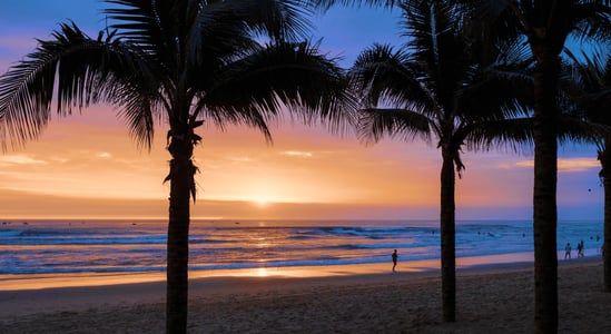 다낭 2박 3일 핵심 일정 및 경비 완벽 총정리