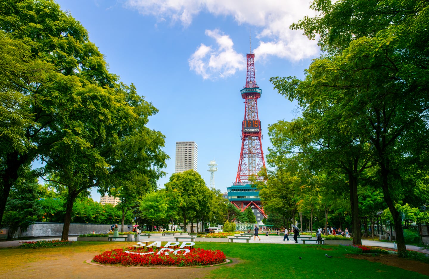 맑은 날씨의 삿포로 오도리 공원에서 바라본 붉은색 TV 타워와 푸른 나무들이 어우러진 아름다운 도심 공원 전경입니다.