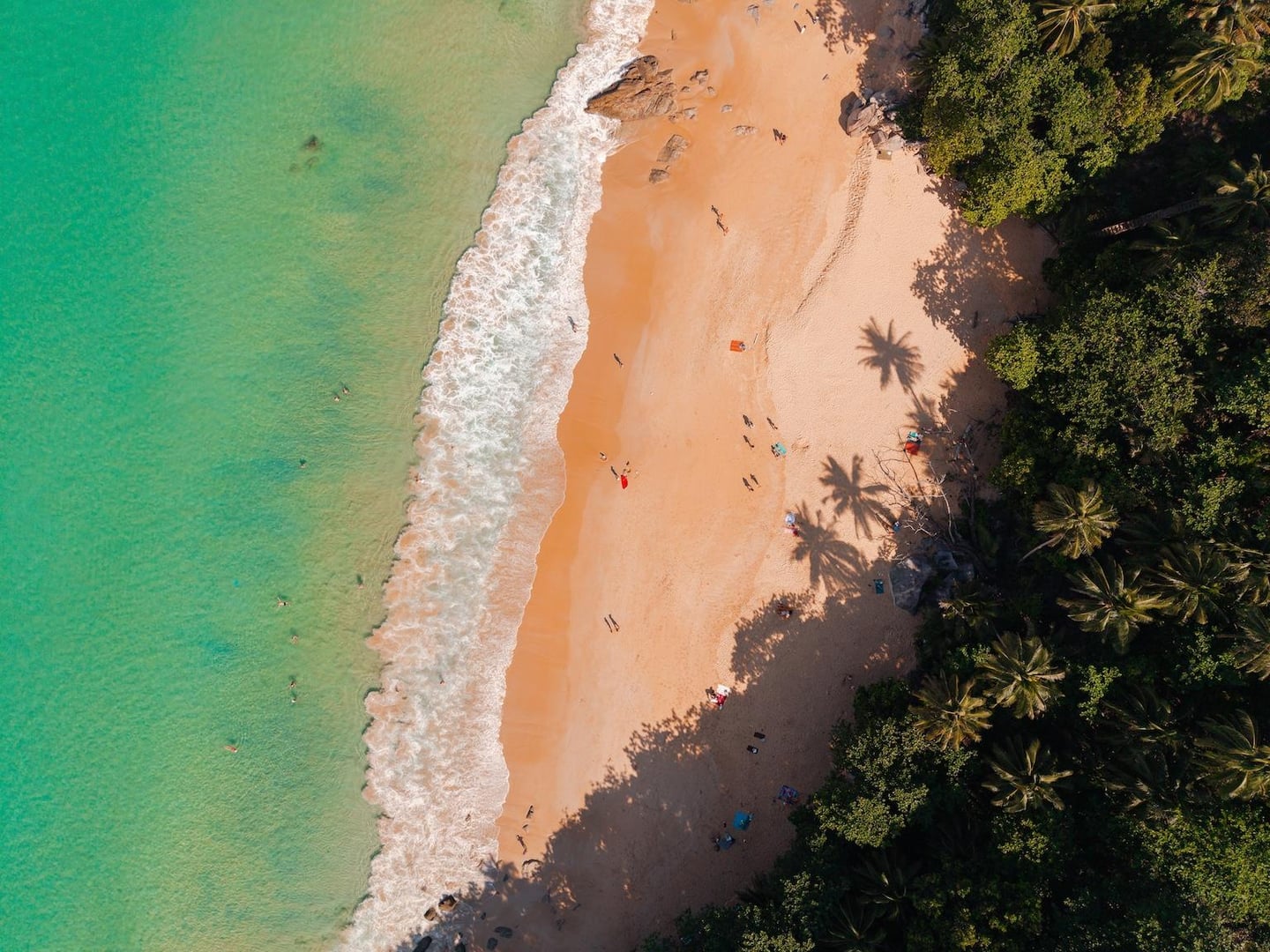 투명한 에메랄드색 바다와 부드러운 모래사장이 만나는 해변가에 야자수 그림자가 드리워진 평화로운 열대 휴양지의 풍경입니다.