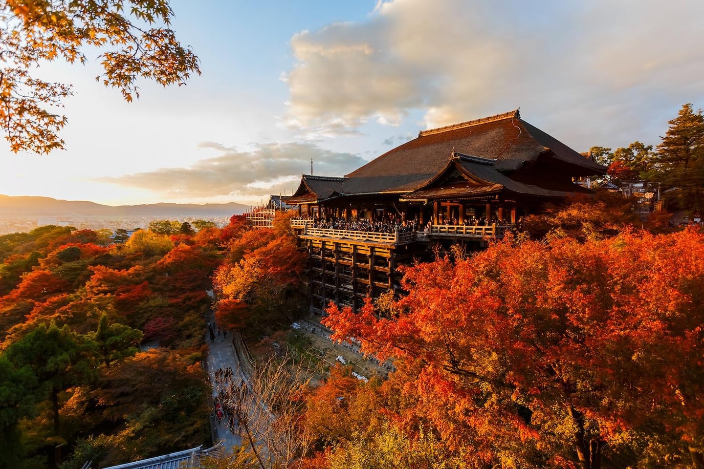 석양의 황금빛 조명을 받은 교토 기요미즈데라 사찰과 주변을 가득 채운 화려한 가을 단풍이 어우러진 고즈넉한 풍경입니다.