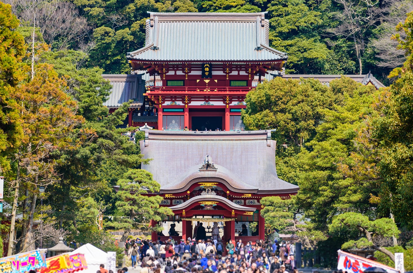 스팟체험_가나가와_쓰루가오카 하치만구_shutterstock_605502662 1