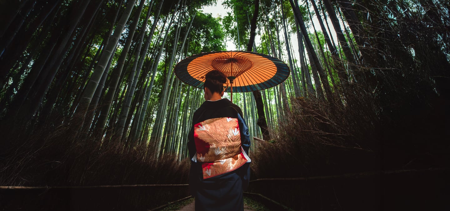 교토 아라시야마 대나무 숲에서 화려한 오비가 돋보이는 기모노를 입고 전통 우산을 든 채 산책하는 여성의 뒷모습이 평화로운 풍경을 연출합니다.